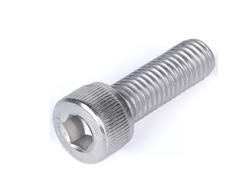 Stainless Steel Socket head cap screw