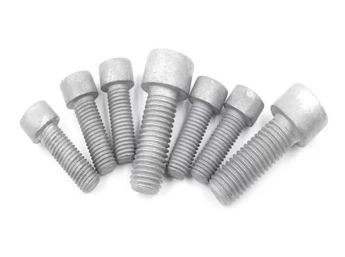 Hot Dip Galvanized socket head cap screw