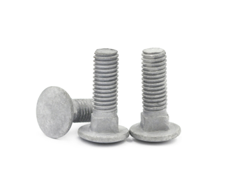 Hot Dip Galvanized Carriage Bolts