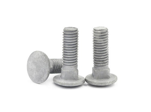 Hot Dip Galvanized Carriage Bolts