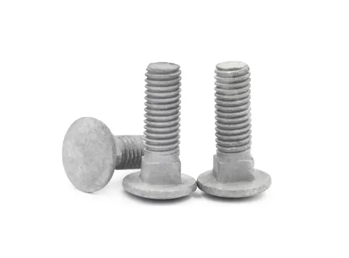 Galvanized carriage bolts