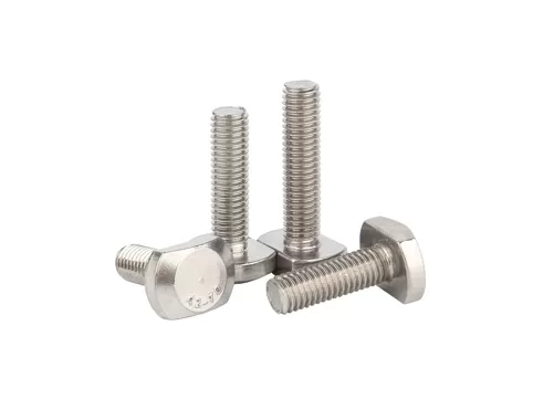 Stainless Steel T Bolts