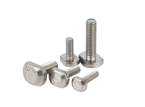 Stainless Steel T Bolts