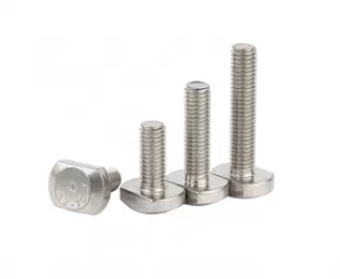 Stainless Steel T Bolts