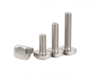 Stainless Steel T Bolts
