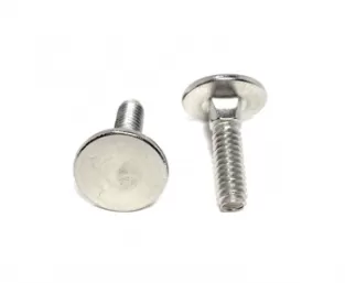 Stainless Steel Elevator Bolt