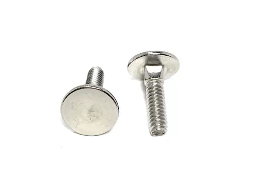 Stainless Steel Elevator Bolt