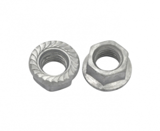 Hot Dip Galvanized Flange Nuts