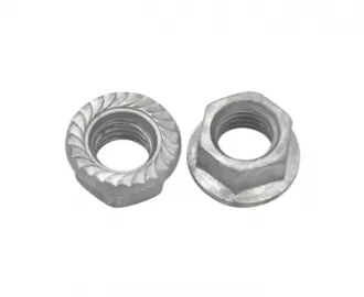 Hot Dip Galvanized Flange Nuts