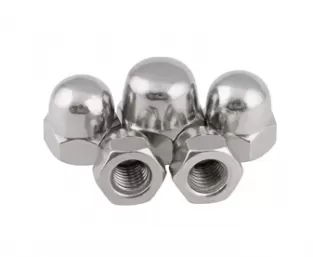 Stainless Steel Cap Nuts