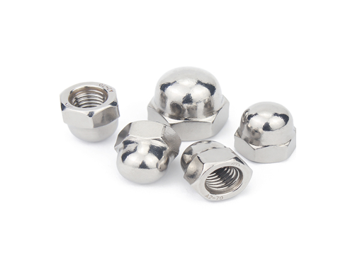 Stainless Steel Cap Nuts