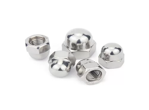 Stainless Steel Cap Nuts