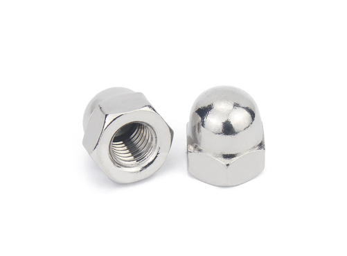 Stainless Steel Cap Nuts