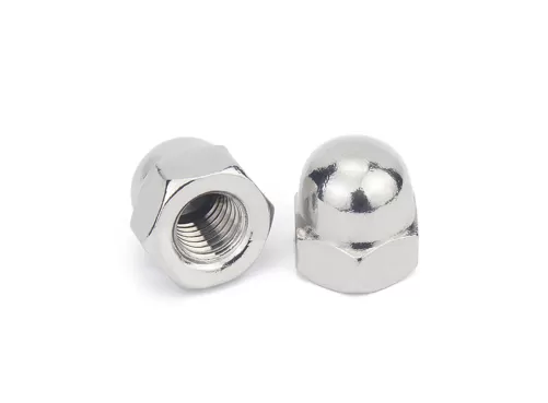 Stainless Steel Cap Nuts