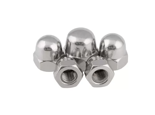 Stainless Steel Cap Nuts