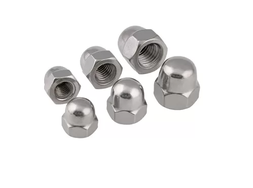 Stainless Steel Cap Nuts