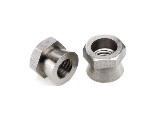 Stainless Steel Shear nut